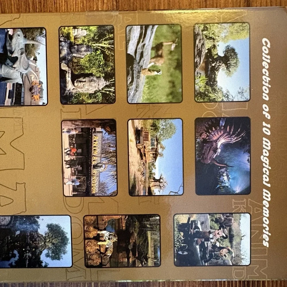 Disney‎ Animal Kingdom Postcard Set 10 Magical Memories Walt Disney World